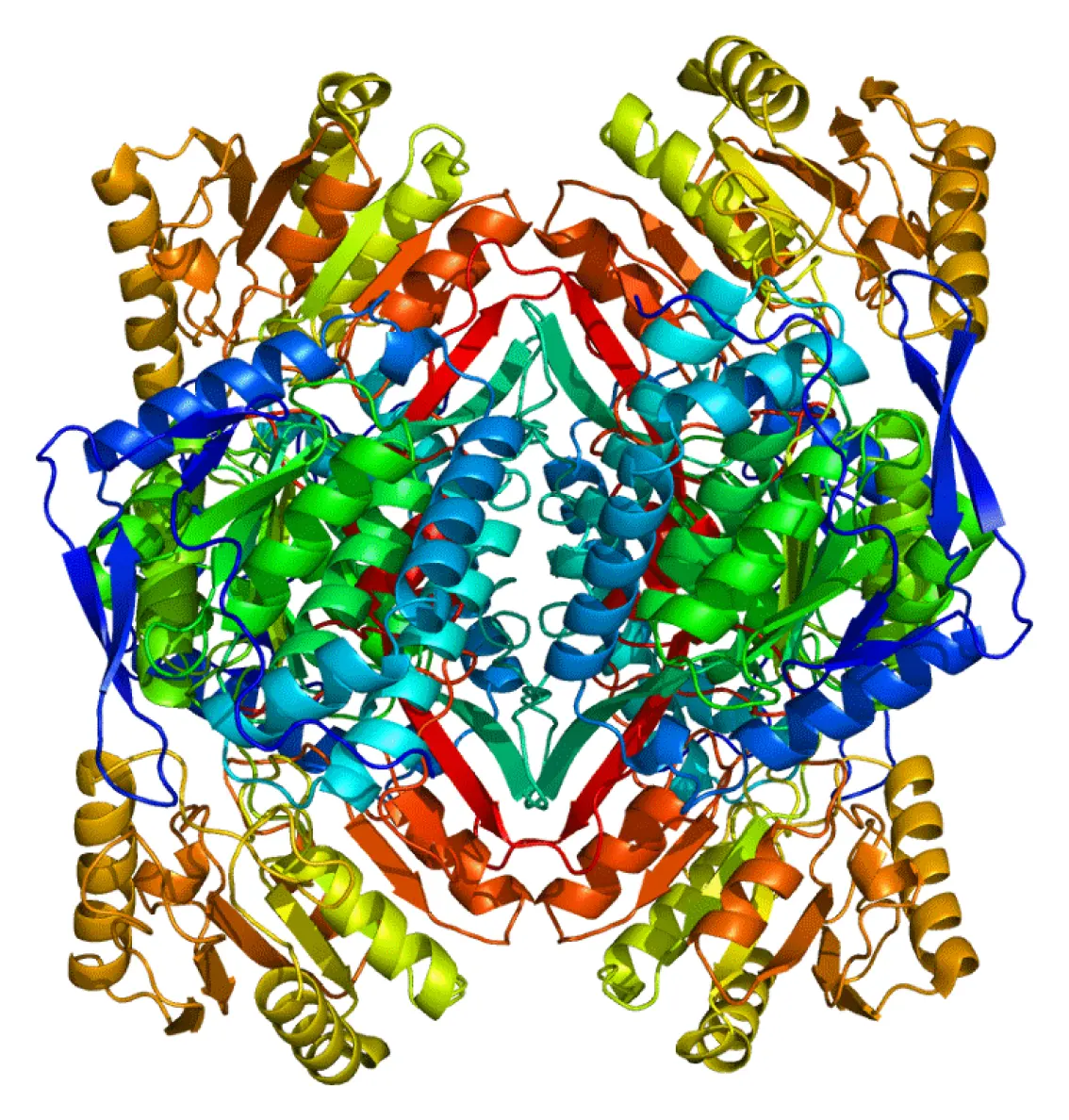 Protein ALDH2